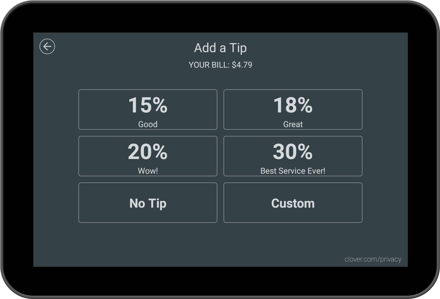 Tip selection screen shown to the customer